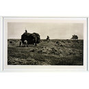 The Haysel; Idyls of the Norfolk Broads (Photograph) The Haysel; Idyls of the Norfolk Broads (Photograph)
