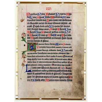 Manuscript Manuscript