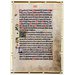 Manuscript