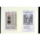 Die Abenteuer des Ritters Theuerdank (Print)