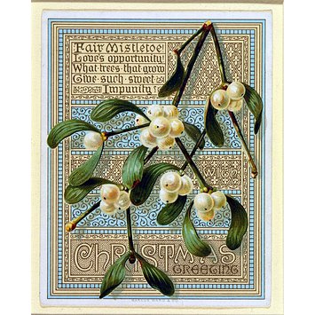 Greetings card - With Christmas Greetings (Fair Mistletoe) Greetings card - With Christmas Greetings (Fair Mistletoe)