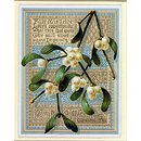 With Christmas Greetings (Fair Mistletoe) (Greetings card)