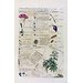 Print - Characters of flowers (Characteris plantarum); Plantae et Paliliones Rariores; Abutilon; Convolvulus arvensis; Alsine; Iris Print - Characters of flowers (Characteris plantarum); Plantae et Paliliones Rariores; Abutilon; Convolvulus arvensis; Alsine; Iris
