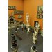 Plaster cast - David Plaster cast - David