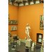 Plaster cast - David Plaster cast - David