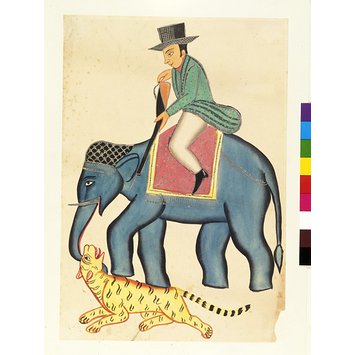 Drawing - Englishman on a elephant shooting a tiger