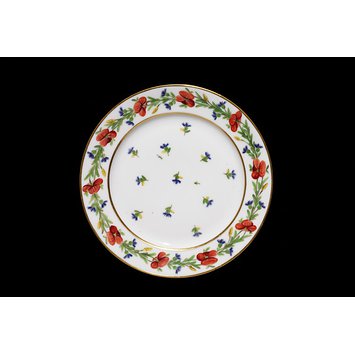 Plate