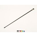 Walking cane