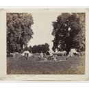 Encamping ground, Scinde Valley, Kashmir (Photograph)