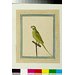 Painting - A parrot Painting - A parrot