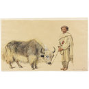 Painting - Yak or Thibet ox and hillman from Kunawur Painting - Yak or Thibet ox and hillman from Kunawur