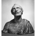 Bust