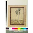 A toddy-tapper (Painting)