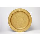 Dish