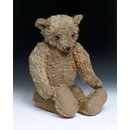 Teddy bear