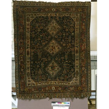 Carpet Carpet