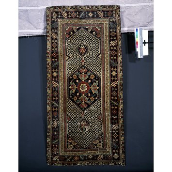 Carpet Carpet