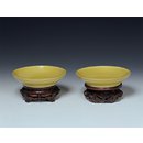 Saucer
