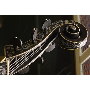 Bass viol