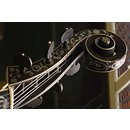 Bass viol