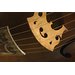 Bass viol