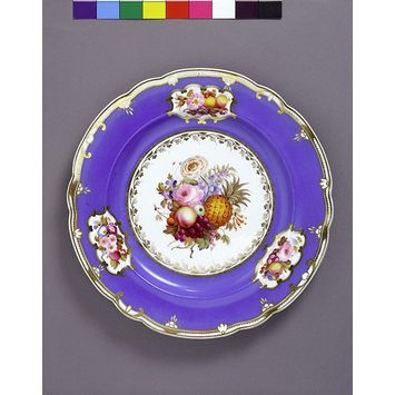Dinner plate Dinner plate