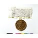 Wax seal impression - Elizabeth I Wax seal impression - Elizabeth I