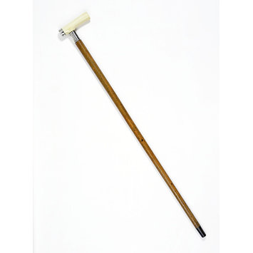 Walking stick Walking stick