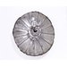 Shield
