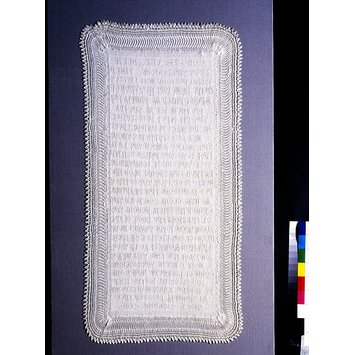 Panel Panel