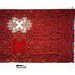Shawl
