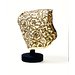 Coif