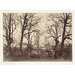 Photograph - Eashing Bridge, Surrey