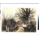 The Willowsway, Elfords, Hawkhurst (Photograph)