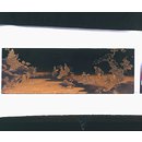 Panel Panel