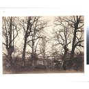 Eashing Bridge, Surrey (Photograph)