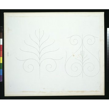 Print - Elementary Outlines of Ornament Print - Elementary Outlines of Ornament