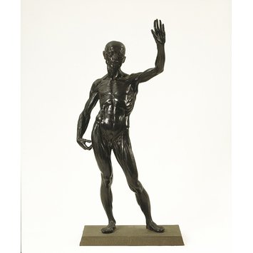Statuette - Anatomical figure