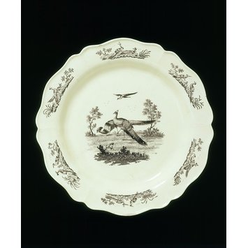 Plate Plate