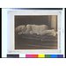Photograph - My grand child aged 2 years & 3 months; Child Sleeping