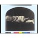 Photograph - My grandchild aged 2 years & three months Archibald Cameron; Child Sleeping