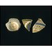 Bowl fragment