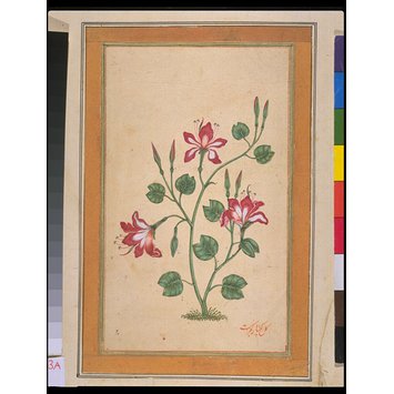 Painting - A flowering plant Painting - A flowering plant
