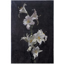 White Lilies; Branche de Lys; Madonna lily, Lilium candidum (Painting)