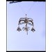 Earring Earring