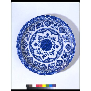 Dish