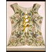 Bodice