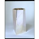 Vase Vase
