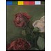 Oil painting - Study of Roses