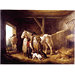Oil painting